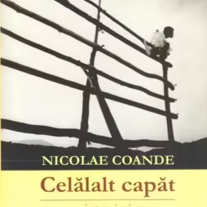 Celălalt capăt - Paperback brosat - Nicolae Coande - Curtea Veche