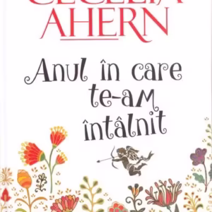 Anul în care te-am întâlnit - Hardcover - Cecelia Ahern - All