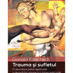 Trauma și sufletul - Paperback - Donald Kalsched - Herald
