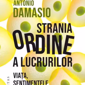 Strania ordine a lucrurilor - Paperback brosat - Antonio Damasio - Humanitas