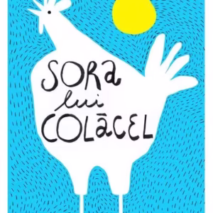 Sora lui Colăcel - Hardcover - Lavinia Branişte - Arthur