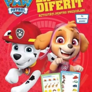 La fel sau diferit? - Paperback - Oana Neacșu - Litera mică