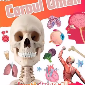 Învață! Corpul Uman - Paperback brosat - *** - Linghea