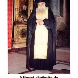 Minuni săvârșite de părintele Ilarion Argatu în viață, din mormânt - Paperback brosat - Alexandru Argatu - Asociația Ilarion Argatu