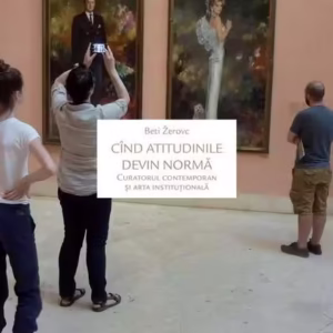 Cînd atitudinile devin normă - Paperback brosat - Žerovc Beti - Idea Design