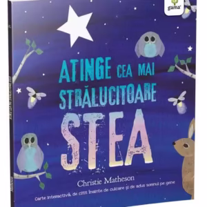 Atinge cea mai strălucitoare stea - Paperback brosat - Christie Matheson - Gama