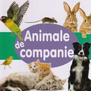 Animale de companie - Board book - Flamingo