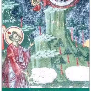 Despre vederea lui Dumnezeu - Paperback brosat - Pr. Constantin Coman - Bizantină