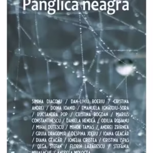 Panglica neagră - Paperback brosat - Emanuela Ignățoiu Sora - Vellant