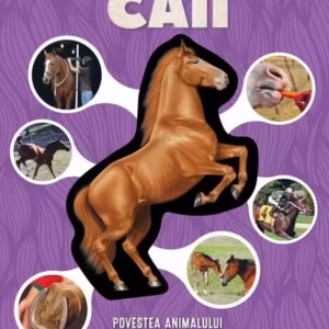 Caii - Paperback brosat - David George Gordon - Kreativ