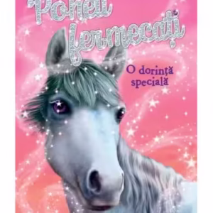 O dorință specială (Vol. 2) - Paperback brosat - Sue Bentley - Litera