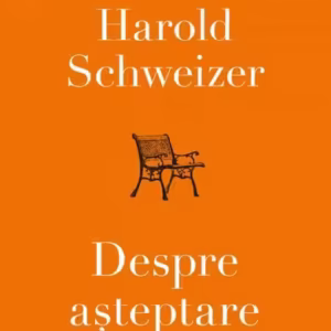 Despre așteptare - Paperback brosat - Harold Schweizer - Curtea Veche