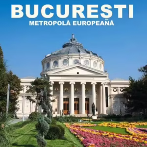 București - Metropolă europeană - Hardcover - Ioana Nicolae - Noi Media Print
