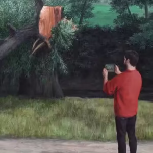 Polaroide - Paperback brosat - Daniel Coman - OMG Publishing House