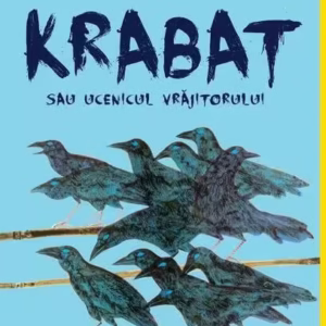 Krabat sau ucenicul vrăjitorului - Hardcover - Otfried Preußler - Arthur