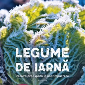 Legume de iarnă - Paperback brosat - Heidi Lorey - Casa