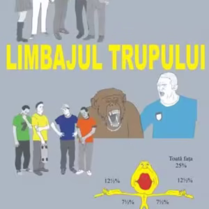 Limbajul trupului - Paperback brosat - David Cohen - Antet Revolution