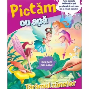 Pictăm cu apă. Tărâmul zânelor - Hardcover - *** - Litera