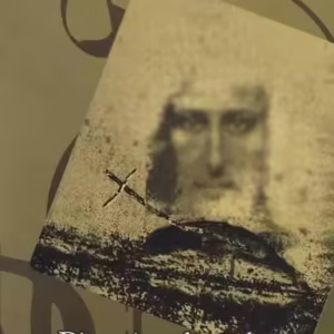 Dinamismul purificării - Paperback brosat - Galaxia Gutenberg