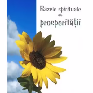 Bazele spirituale ale prosperităţii - Paperback brosat - Roy Eugene Davis - Mix