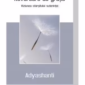 Revărsare de grație - Paperback - Adyashanti - Mix
