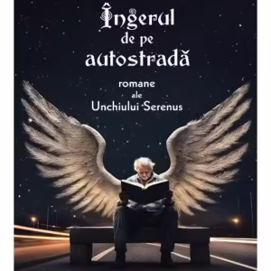 Îngerul de pe autostradă - Paperback brosat - Cristian Bădiliță - Vremea