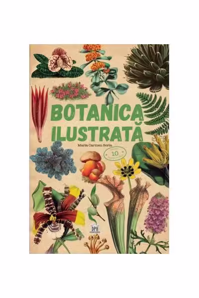 Botanica ilustrată – Hardcover – Maria Carmen Soria – Didactica Publishing House
