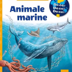 Animale marine - Board book - Casa