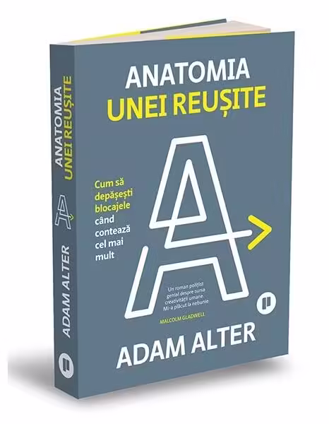 Anatomia unei reușite – Paperback brosat – Publica