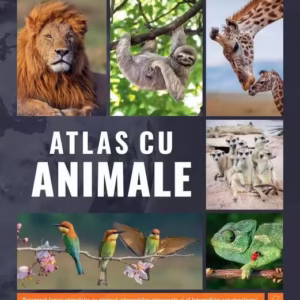 Atlas cu animale - Hardcover - Kreativ