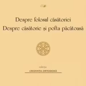 Despre folosul căsătoriei - Paperback brosat - Fericitul Augustin - Institutului Biblic şi de Misiune Ortodoxă