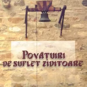 Povățuiri de suflet ziditoare - Paperback brosat - Sfântul Cuvios Anatolie de la Optina - Institutului Biblic şi de Misiune Ortodoxă