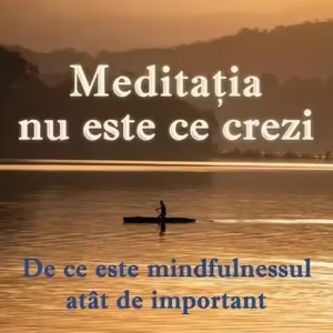 Meditația nu este ce crezi - Paperback brosat - For You