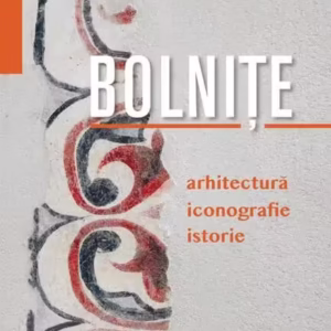 Bolnițe - Hardcover - Luiza Zamora - ACS