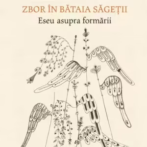 Zbor în bătaia săgeţii - Paperback brosat - Horia-Roman Patapievici - Humanitas