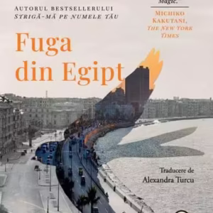 Fuga din Egipt - Paperback brosat - Pandora M