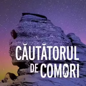 Căutătorul de comori - Paperback brosat - Daniel Roxin - For You