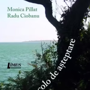 Dincolo de așteptare - Paperback brosat - Monica Pillat, Radu Ciobanu - Limes