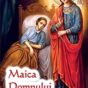 Maica Domnului Vindecătoarea - Paperback brosat - Ortodoxia