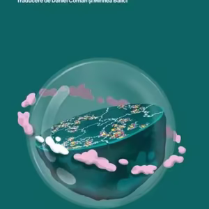 Planeta mahalalelor - Paperback brosat - Mike Davis - Universitatea Lucian Blaga Sibiu