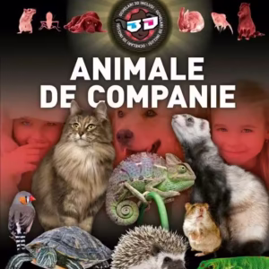 Animale de companie 3D - Hardcover - Kreativ