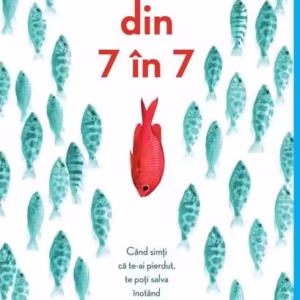 Din 7 în 7 - Paperback brosat - Holly Goldberg Sloan - Arthur