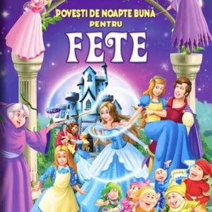 Povești de noapte bună pentru fete - Hardcover - Flamingo