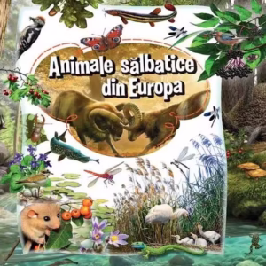 Animale sălbatice din Europa - Paperback brosat - *** - Kreativ