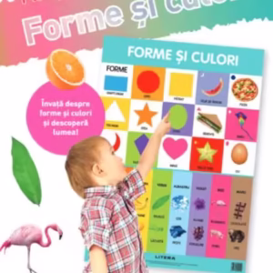 Forme și culori. Planșe educaționale - Paperback - *** - Litera