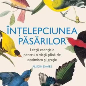 Înțelepciunea păsărilor - Hardcover - Lambodar