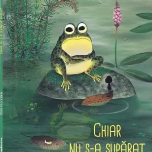 Chiar nu s-a supărat nimeni? - Paperback - Toon Tellegen - Frontiera