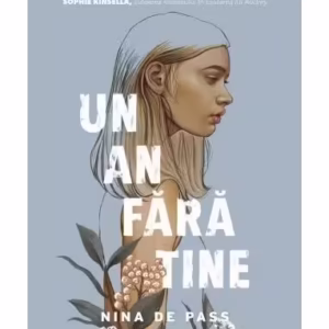 Un an fără tine - Paperback brosat - Nina de Pass - CORINTeens