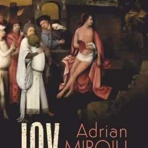 Iov şi dreptatea lui - Paperback brosat - Adrian Miroiu - Polirom