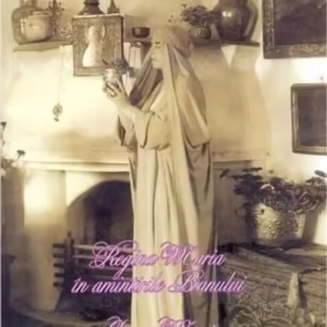 Regina Maria în amintirea Branului / Queen Marie in Bran's memories - Paperback brosat - Marist